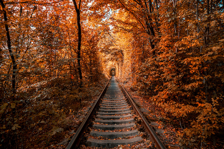 Il Treno del foliage