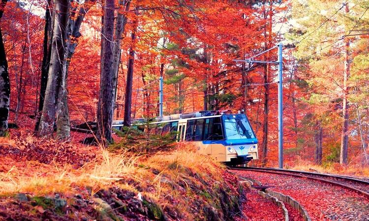 Il Treno del foliage