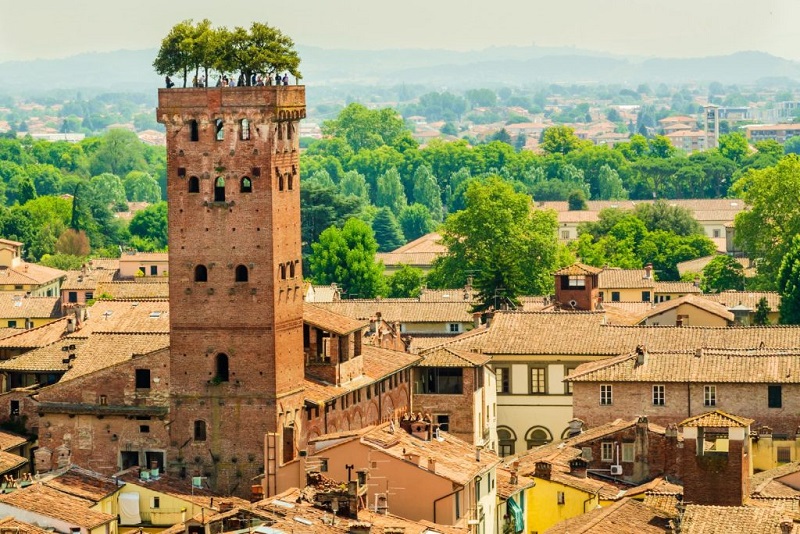 Lucca: Torre Guinigi